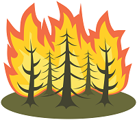Waldbrand; Bäume die Brennen